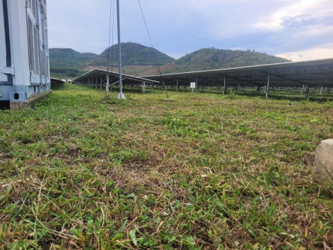 he-thong-dien-mat-troi-noi-luoi-on-grid-hoat-dong-va-uu-diem