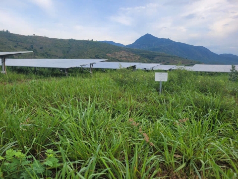 cho-thue-he-thong-dien-mat-troi-solar-lease-giai-phap-thay-the-ban-dut