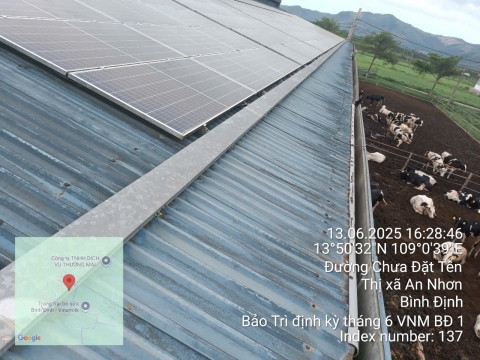 mo-hinh-nang-luong-mat-troi-ket-hop-nong-nghiep-agrivoltaics